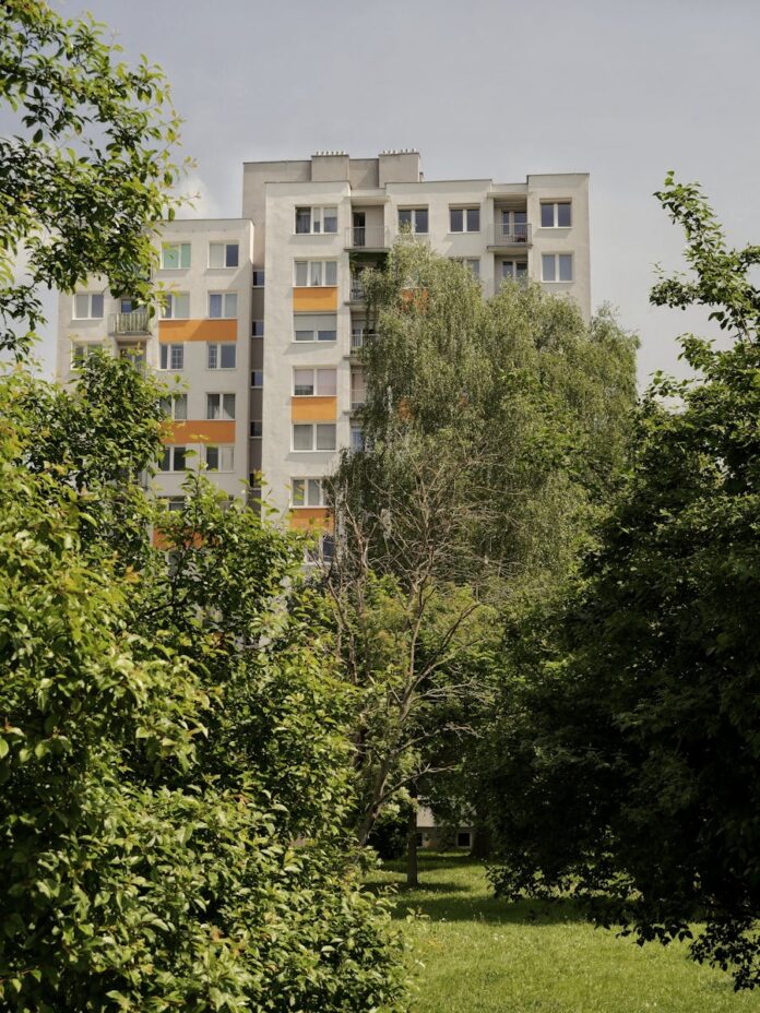Jakie rośliny warto posadzić w ogrodzie w Starogardzie Gdańskim?
